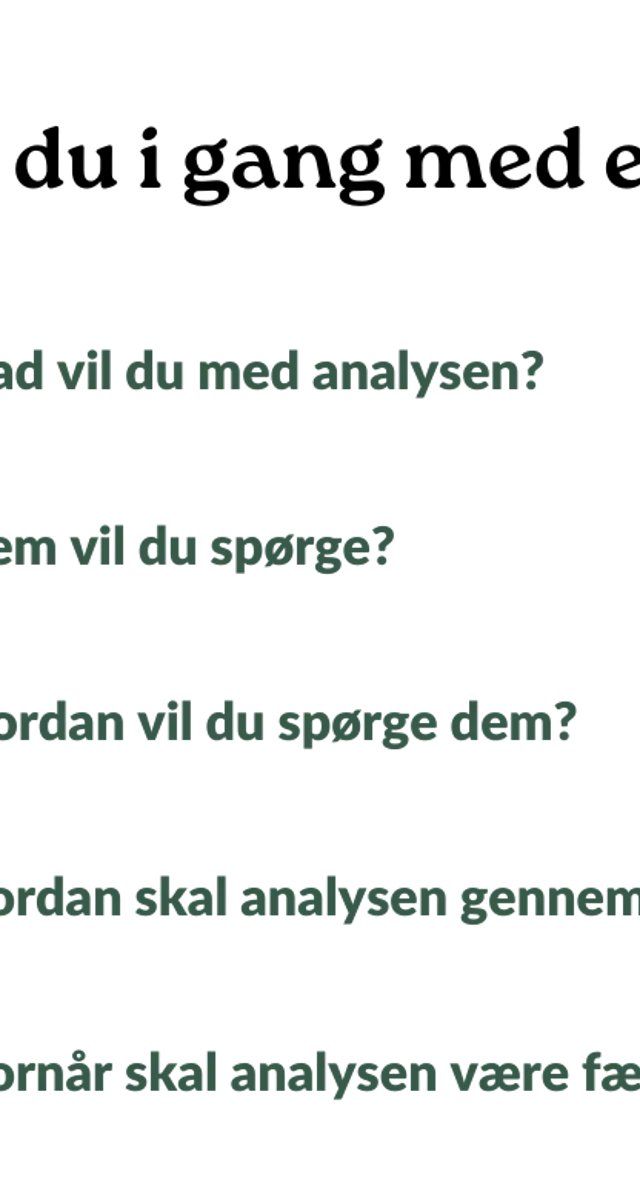 Kundeanalyse (3)