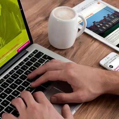 Ringkøbing-Skjern Erhvervsråd hjemmeside